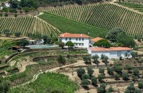 Bomfim Villa | Impresionante viñedo aislado con piscina en el corazón de la región del puerto del Duero.