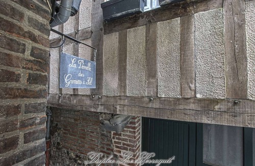 Enclos Apartamento | Stunning homely 2 bdr very quiet next to Greniers à Sel - Duplex Le Perroquet ★★★★