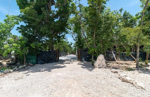 Playa Paraiso Apartamento | Stunning Luxury Cenote Condo in Tulum