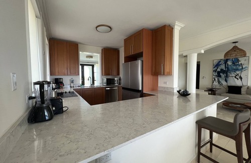 Zarzal Condominio | Stunning Ocean View Penthouse Villa