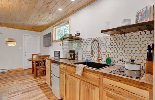 Canadensis Casa | Stunning Pocono Modern | Firpits | Pets OK