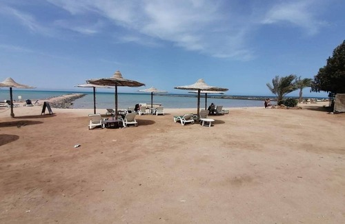 Village Road Apartamento | Stunning Red Sea. Restaurant, cafe, bar. Sun lounge and umbrellas.