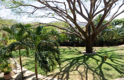 San Juan del Sur Apartamento | Stunning Studio Suite - AC, Walk to Town and Beach