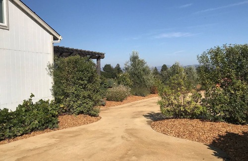 Sebastopol Cabaña | Impresionantes vistas en 10 acres de viñedo, 7 minutos a Sebastopol