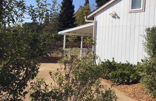 Sebastopol Cabaña | Impresionantes vistas en 10 acres de viñedo, 7 minutos a Sebastopol