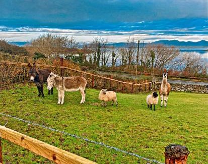 Westport Casa | Stunning Westport Cottage - Sleeps 6
