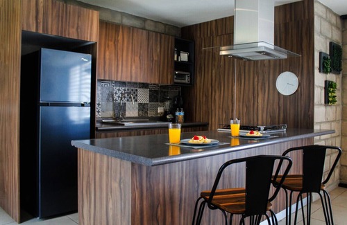 Downtown Guadalajara Apartamento | Stylish Authentic Loft w/Gym & Coworking | 1 BD | Tribu Colón