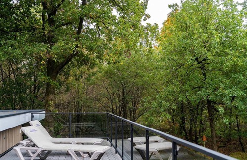 Bosgebied Hoenderloo Casa | Elegante chalet en el bosque