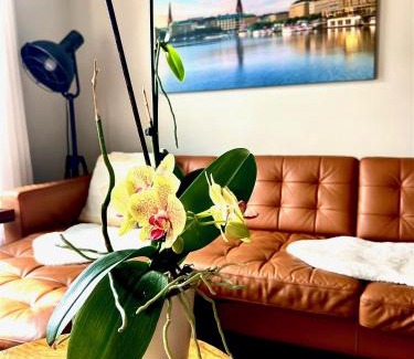 Perth Apartamento | Stylish Heritage Gem facing Stewart Park and Town Hall