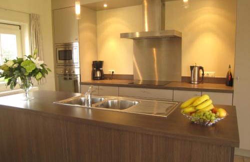 Zuidzande Casa | Stylish Holiday Home in Zuidzande with Sauna