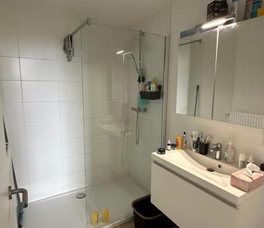 Zwaantjes Apartamento | Stylish & Spacious stay in Antwerp