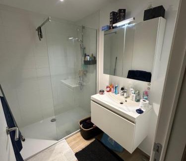 Zwaantjes Apartamento | Stylish & Spacious stay in Antwerp