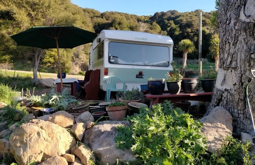 Akaroa Casa | Stylish vintage caravan on a farm over looking bush and river.