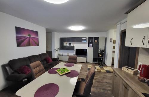 Bistrita Apartamento | Subcetate Residence
