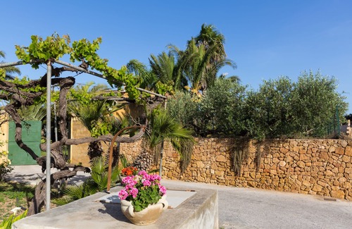 Marsala Apartamento | Oasis suculento
