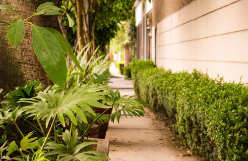 Campestre Apartamento | Suite 1-A Monasterio Garden House Welcome to San Angel