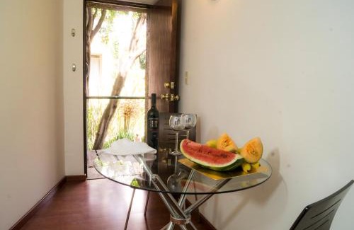 Campestre Apartamento | Suite 1C, Balcon, Garden House, Welcome to San Angel