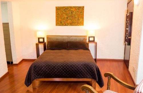 Campestre Apartamento | Suite 2B, Vista, Garden House, Welcome to San Angel