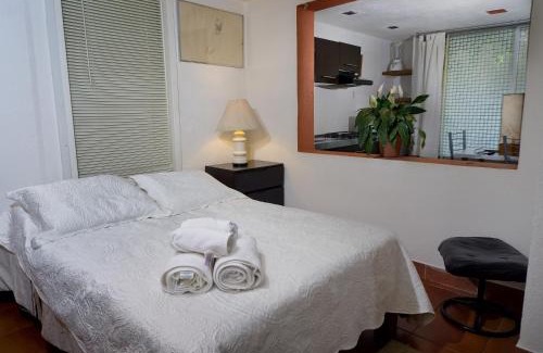 Campestre Apartamento | Suite 4A, Terraza, Garden House, Welcome to San Angel