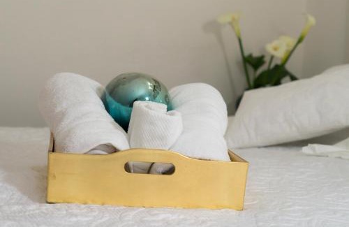 Campestre Apartamento | Suite 4B Bazzar, Garden House, Welcome to San Angel