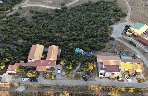 Oaxaca Casa | Suite Arbolada: sleep in the forrest with direct access to the pool