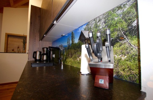 Russbach am Pass Gschuett Apartamento | Suite BO in the Dachstein Chalet- Ski region Dachstein West