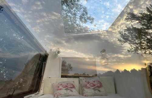Calig Otro | Suite Caravan by Noches de Calig