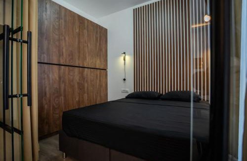 Stari Banovci Apartamento | Suite Music