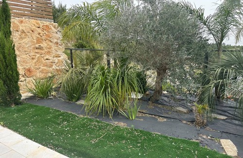 Isfiya Apartamento | Suite n.3 for 4 guests
