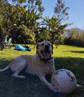 Biscaia Casa | Suite pé na areia - trilha e praia