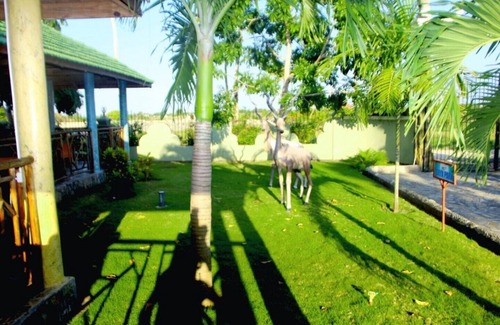 Kigamboni Apartamento | Suite que refleja la esencia de la cultura swahili.