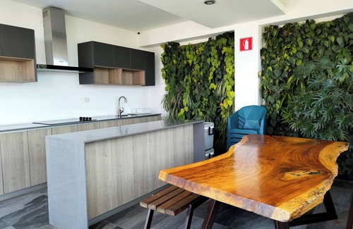 Zona 15 Apartamento | Suite Zen