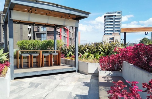 Zona 15 Apartamento | Suite Zen