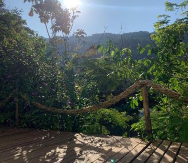 Ilha Grande Casa | Suites casa do indio jungle, a melhor vista da floresta