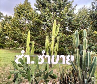 Wang Thong Casa | Sum sumbuy Homestay ซำ ซำบาย โฮมสเตย์