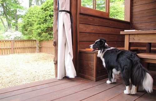 Kita Karuizawa Alquiler De RV | Summer 719831 14 Dog Run Cottage Woof / Agatsuma County Gunma