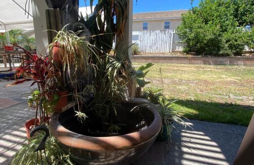 Chino Casa | summer cool house