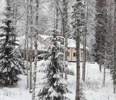 Kuopio Apartamento | Summer Home