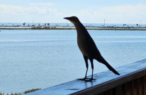Rockport Casa | Summer's Little Bay Getaway