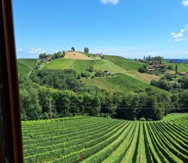 Glanz an der Weinstrasse Apartamento | Summer Wine
