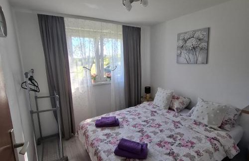 Gornji Milanovac Casa | Sumska vila Zorica