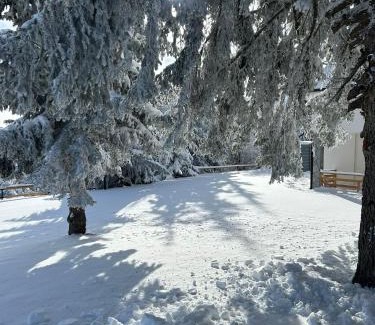 Central Serbia Villa | Sunčani Vrhovi Lux planina Golija