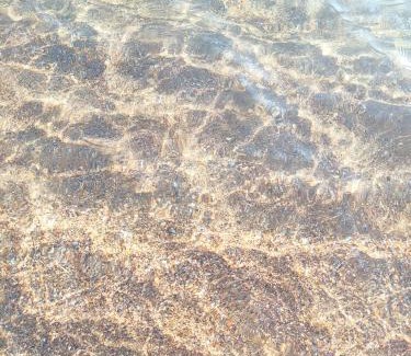 Focene Casa | Sun and Sand Focene