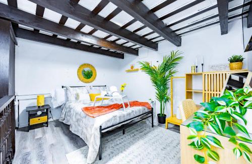 Arecibo Pueblo Apartamento | Sun Love Old San Juan