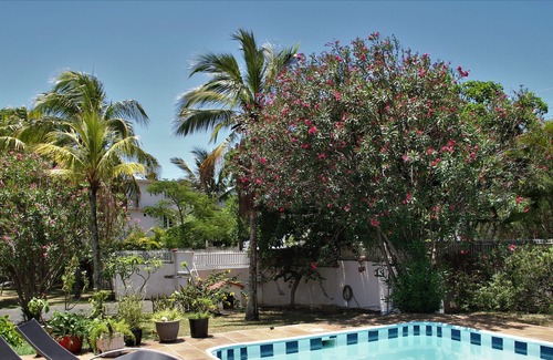 Pointe aux Canonniers Villa | VILLA SOL EN LA PLAYA IMMOCLAIR A 5 mn a pie