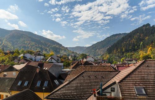 Brasov Villa | Sun Villas Accommodation Brasov