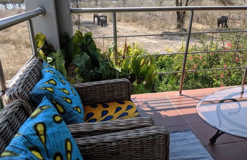 Kasane Villa | The Residence Kazungula- Bird paradise, ¡donde se encuentran cuatro países!