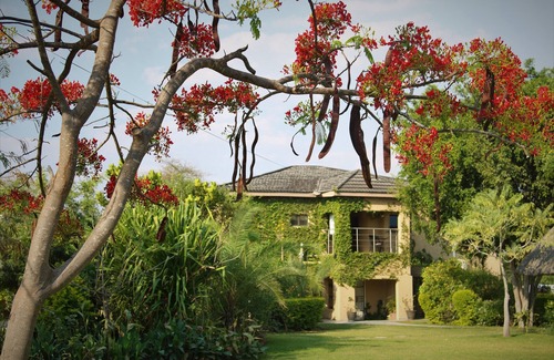 Kasane Villa | The Residence Kazungula- Bird paradise, ¡donde se encuentran cuatro países!
