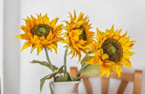 Santa Pola Apartamento | Sunflower Europa