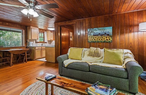 Maggie Valley Cabina | Sunflower Shack: 1 BR, 1 BA Cabin or Bungalow in Maggie Valley, Sleeps 2